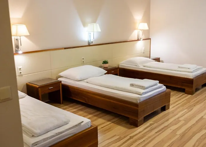 Dabas Hotel 3*